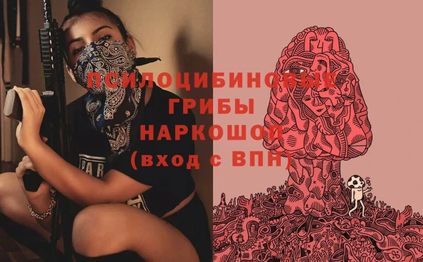 мдпв Магадан