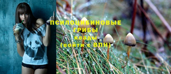 ешки Майский