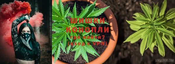 ешки Майский