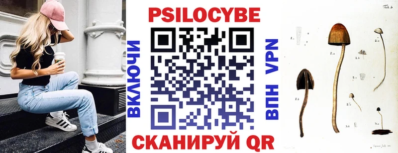 Галлюциногенные грибы Psilocybine cubensis  где можно купить   Долинск 