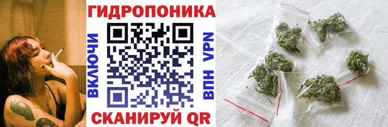 Конопля White Widow  купить закладку  Долинск 